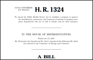Mental Health Bills before your representatives in Congress